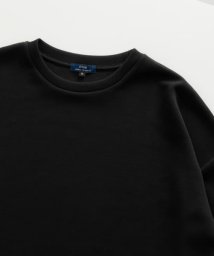 ITEMS URBANRESEARCH(アイテムズアーバンリサーチ（メンズ）)/ハイストレッチポンチ ロングスリーブ カットソー/BLK