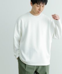 ITEMS URBANRESEARCH(アイテムズアーバンリサーチ（メンズ）)/ハイストレッチポンチ ロングスリーブ カットソー/WHT