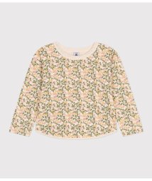 PETIT BATEAU/チュビックプリント長袖Ｔシャツ/505900912