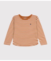 PETIT BATEAU/チュビックボーダー長袖Ｔシャツ/505900922