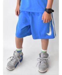 NIKE/キッズ(105－120cm) ショートパンツ NIKE(ナイキ) B NK DRI－FIT ADP HBR SHORT/505259555