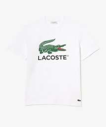 LACOSTE Mens(ラコステ　メンズ)/ワニロゴグラフィックプリントTシャツ/ホワイト