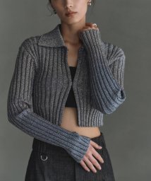 DRESSTERIOR/CODE A｜lame knit cardigan/505911368