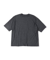 SHIPS MEN/Southwick Gate Label: メリノ ウール Tシャツ/505911671