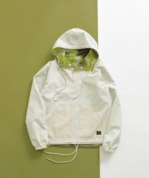 ITEMS URBANRESEARCH(アイテムズアーバンリサーチ（メンズ）)/TAION　Military Reversible Anorak/TIE-DYE
