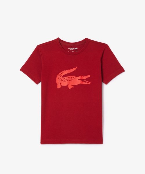 LACOSTE KIDS(ラコステ　キッズ)/ウルトラドライクロックプリント　キッズTシャツ/マルーン