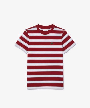 LACOSTE KIDS/BOYS ボーダーTシャツ/505247033