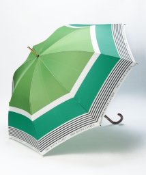 POLO RALPH LAUREN(umbrella)(ポロラルフローレン（傘）)/傘　カラーボーダー/ビリジアン