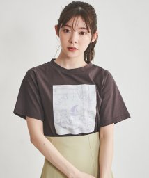 31 Sons de mode(トランテアン　ソン　ドゥ　モード)/マリンプリントＴシャツ/チャコール