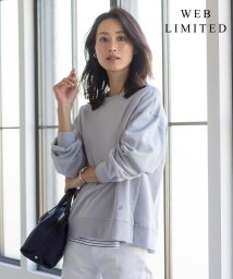 J.PRESS LADIES(J．プレス　レディス)/【WEB限定】URAKE カットソー/ライトグレー系