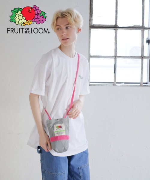 FRUIT OF THE LOOM(フルーツオブザルーム)/FRUIT OF THE LOOM/フルーツオブザルーム　NYLON SHOULDERBAG Ssize / ミニバッグ ショルダー コンパクト ナイロン /M・グレー