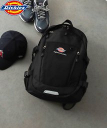 Dickies/Dickies EFW MESH PKT BACKPACK/505910219