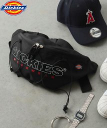 Dickies(Dickies)/Dickies RETRO ACTIVE WAISTBAG/ﾌﾞﾗｯｸ