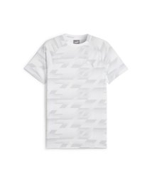 PUMA(PUMA)/メンズ エヴォストライプ AOP 半袖 Tシャツ/PUMAWHITE