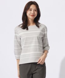 J.PRESS LADIES（LARGE SIZE）/【洗える】ポンチボーダー カットソー/505922793