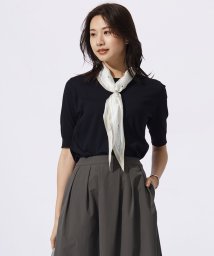 J.PRESS LADIES（LARGE SIZE）(J．プレス　レディス（大きいサイズ）)/【洗える】BASIC HT－COTTON クルーネック ニット/ネイビー系