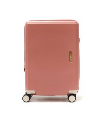 Jewelna Rose/ジュエルナローズ スーツケース Jewelna Rose 機内持ち込み キャリーケース 可愛い 拡張 36L 44L 2泊3 旅行 TSAロック 05201/505927266