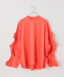JOURNAL STANDARD/【HOLIDAY/ホリデイ】 SUPER FINE DRY RUFFLE RUFFLE TOP：カットソー/505911538