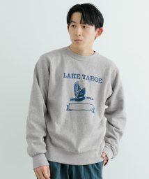 ITEMS URBANRESEARCH(アイテムズアーバンリサーチ（メンズ）)/Champion　RW Crew Neck Sweat Z013/GRY