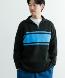 ITEMS URBANRESEARCH(アイテムズアーバンリサーチ（メンズ）)/ハーフZIP ボーダー プルオーバーニット/BLK