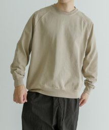 URBAN RESEARCH(アーバンリサーチ)/ndx　RaglanSweat/BURNTSAND