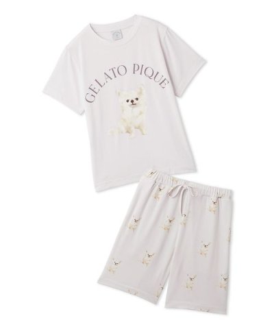 【JUNIOR】 DOG柄Tシャツ&ショートパンツセット