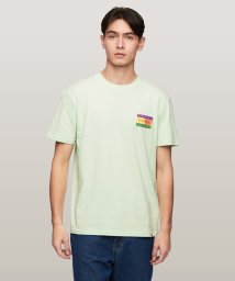 TOMMY JEANS(トミージーンズ)/レギュラーサマーフラッグTシャツ/ライトグリーン