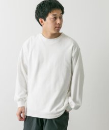 URBAN RESEARCH DOORS/USAコットンロングスリーブTシャツ/505935934