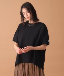 DRESSTERIOR/【洗える】エシカルオーガニックコットンTシャツ/505867269