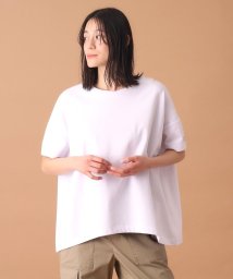 DRESSTERIOR/【洗える】エシカルオーガニックコットンTシャツ/505867269