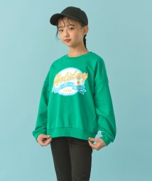 D.FIT/ディフィット D.FIT ミニ裏毛 トレーナー/505922370