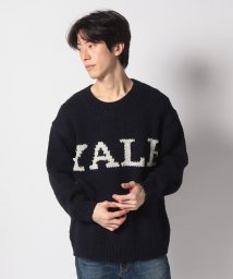 The BOOK STORE/【The BOOK STORE/ザ ブックストア】 YALE LOGO SWEATER /505931214