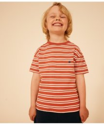 PETIT BATEAU/ボーダー半袖Ｔシャツ/505936379