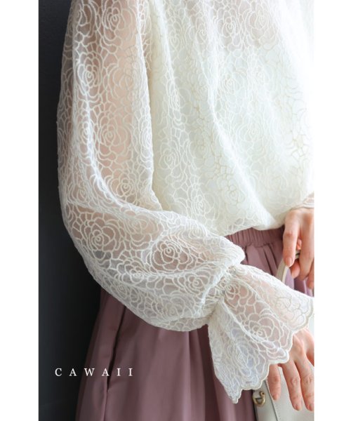 CAWAII(カワイイ)/刺繍で描くバラ咲き誇るキャンディスリーブブラウストップス/ホワイト