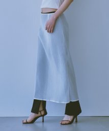 DRESSTERIOR(ドレステリア)/CODE A｜sheer pleats skirt/ホワイト（001）