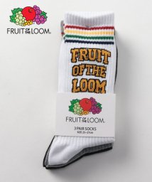 FRUIT OF THE LOOM/C.FRUIT OF THE LOOMレインボーラインロゴ 父の日 プレゼント ギフト/505918405