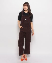 LEVI’S OUTLET/BAGGY HW OVRL MOLE/505921242