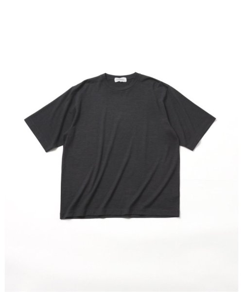 JOURNAL STANDARD(ジャーナルスタンダード)/【FOLL / フォル】washable wool tee s/s/グレーA