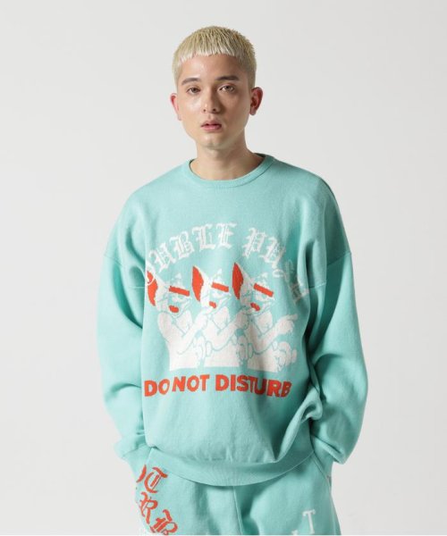 TAIN DOUBLE PUSH/タインダブルプッシュ/別注KNIT CREW DOUBLE TAIN