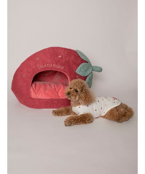 【CAT&DOG】【販路限定商品】スムーズィー ストロベリーハウス スムーズィー SMOOTHIE 予めご了承ください