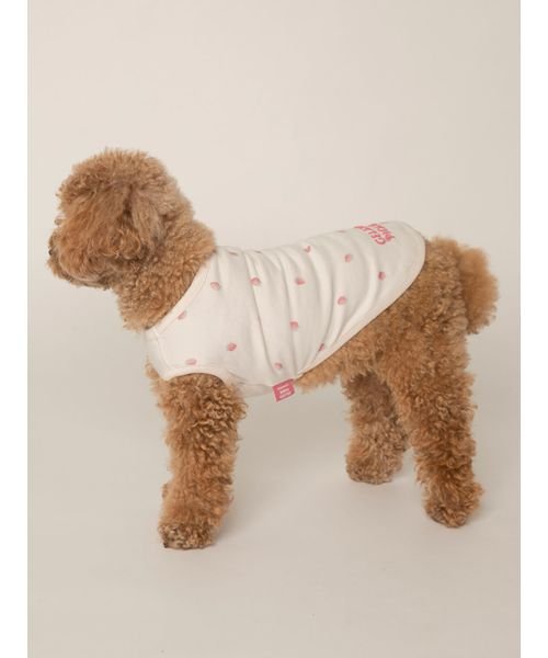 GELATO PIQUE CAT＆DOG(GELATO PIQUE CAT＆DOG)/【CAT&DOG】【販路限定商品】ストロベリー柄プルオーバー/PNK