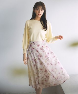 any SiS L/【洗える】メッシュフラワープリント スカート/505939330