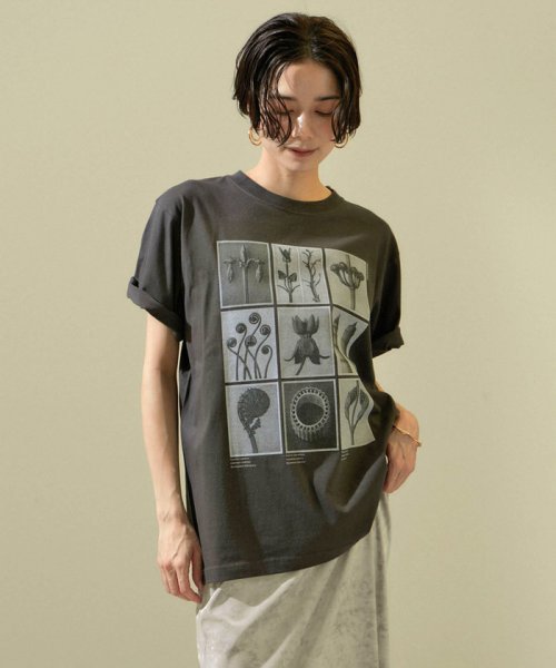 サロン　アダム　エ　ロペ(サロン　アダム　エ　ロペ)/【WEB限定】【KARL BLOSSFELDT（カールブロスフェルト）】フォトTシャツ/24SS/グレー（07）