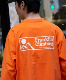 GLOSTER/【限定展開】【Franklin Climbing/フランクリンクライミング】グラフィックロンTee/505937393