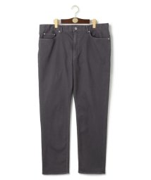 J.PRESS MENS/【KING SIZE】【ストレッチ】ピケストレッチ スローンデニムス パンツ/505942056