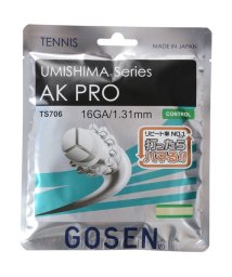 GOSEN/ＡＫ　ＰＲＯ　１６/505603974