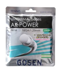 GOSEN/ＡＫ　ＰＯＷＥＲ　１６/505603975