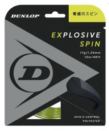 DUNLOP/EXSPIN ST DST11001/505608808
