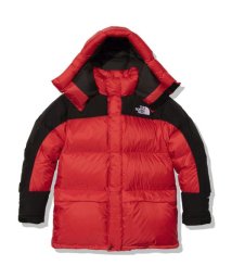 THE NORTH FACE/HIM DOWN PARKA (ヒムダウンパーカ)/505663537
