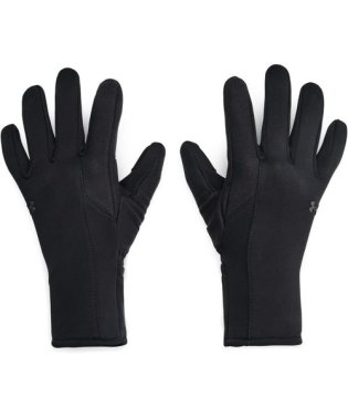 UNDER ARMOUR/UA STORM FLEECE GLOVES/505665205